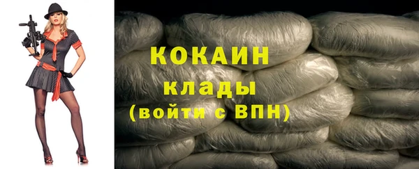 СК Алексин