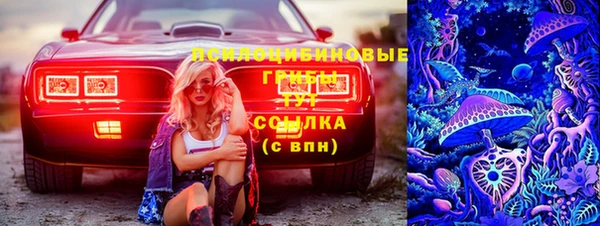 СК Алексин