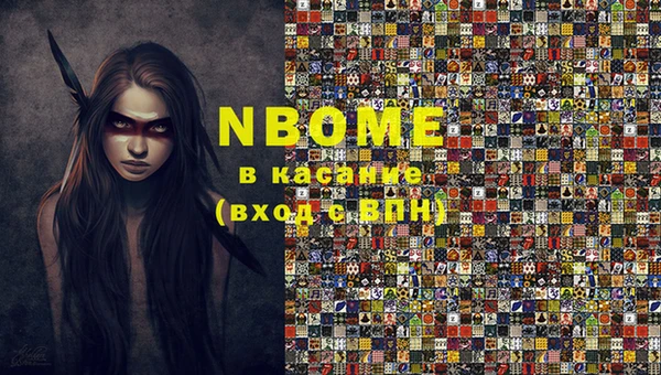 СК Алексин