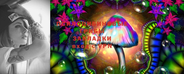 apvp Алзамай