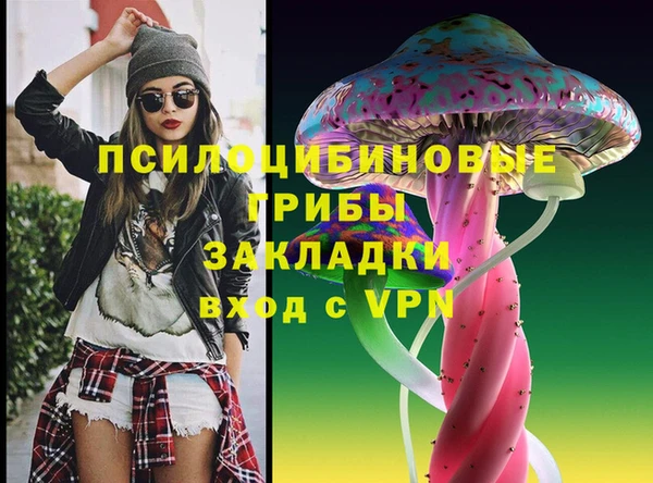 apvp Алзамай