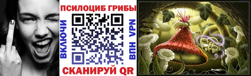 Галлюциногенные грибы прущие грибы  Апатиты 